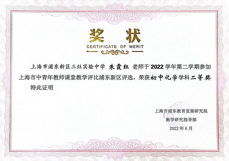 230.朱霞红老师获上海市中青年教师课堂教学评比浦东新区评选初中化学学科二等奖.jpg