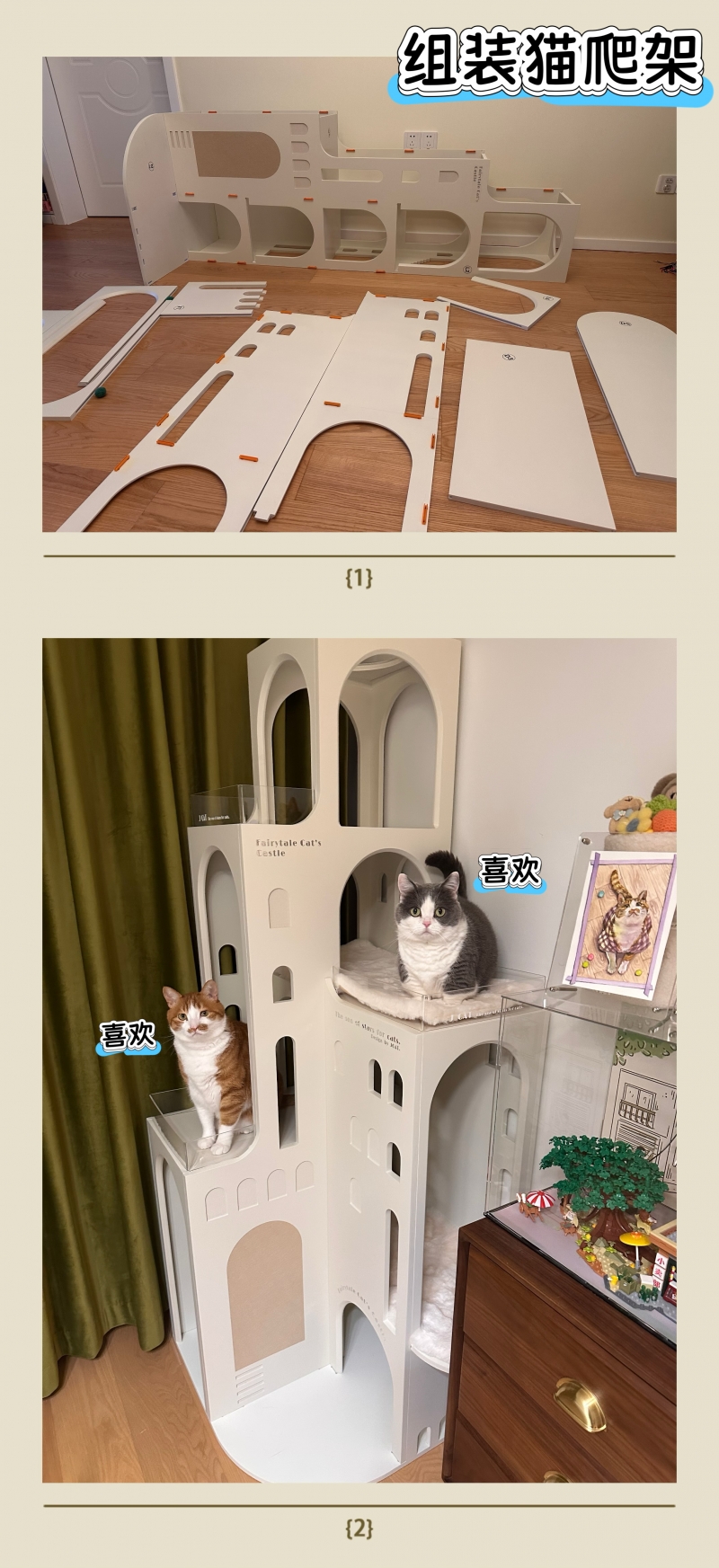 黄吉怡.jpg